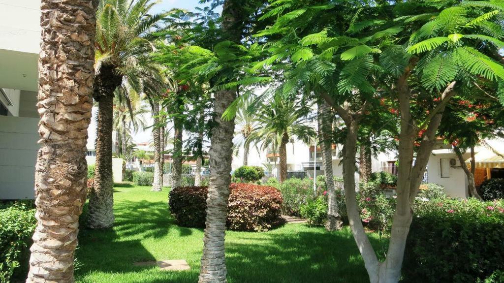 Primavera Appartement Tot 7 Personen Ideaal Voor Backpackers Arona  Luaran gambar